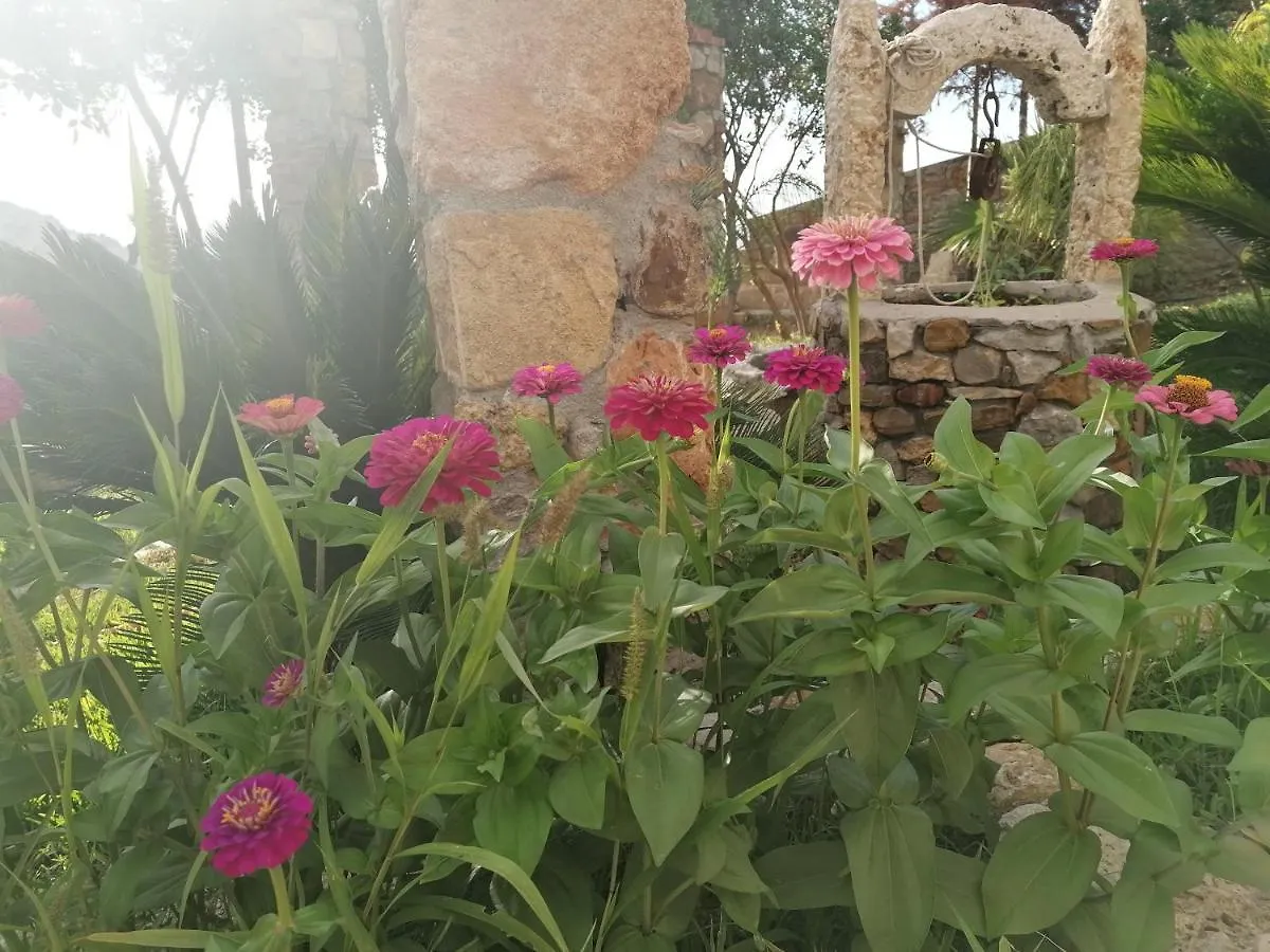 Prázdninový dům Villa Nonna Nina Capaci